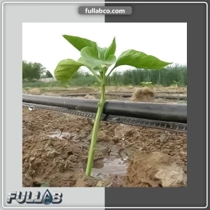 نوار آبیاری بغل دوخت برند PPJ