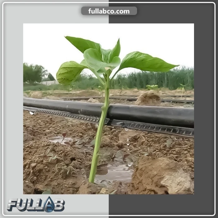 نوار آبیاری بغل دوخت برند PPJ